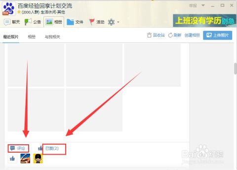 快速提升QQ群龙王等级，有哪些高效策略？