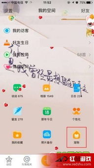 QQ宠物如何刷等级？快速提升宠物等级的方法你知道吗？