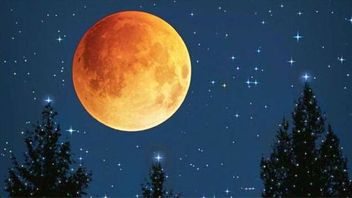 QQ月亮与星星月亮，如何刷出独特的夜空风采？