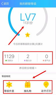 如何快速提升QQ群聊等级？这款软件帮你轻松实现！