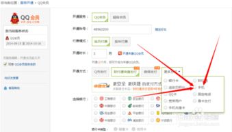 QQ刷永久钻是如何实现的？其原理是什么？