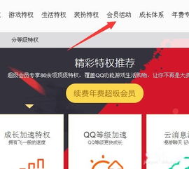 如何找到QQ刷年费超级会员的详细教程？