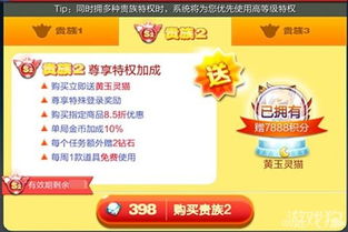 贵族们刷QQ会员卡，费用究竟是多少？