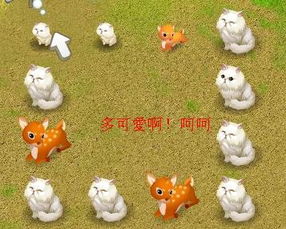 哪些宠物能让你的QQ牧场金币飙升？快来看看哪些最赚钱！