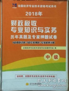 电脑专家如何通过专业技能实现高收入？