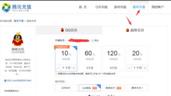 获取QQ超级会员永久资格，费用大概是多少？