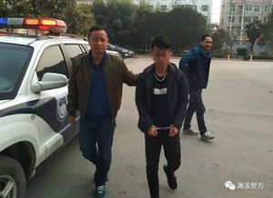 警方成功抓获QQ刷单诈骗团伙了吗？