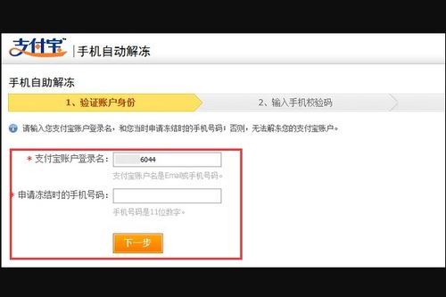如何才能在支付宝中查看自己的详细资料？有哪些步骤需要遵循？