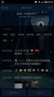 哪些软件能刷QQ黄钻永久？可靠的选择有哪些？