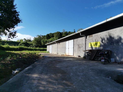 在四川农村，哪种工厂最能赚大钱？