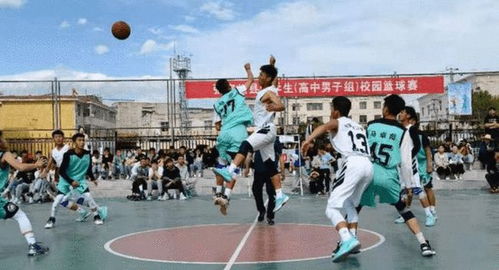 如何有效应对大学考试？篮球专项备考有哪些实用策略？