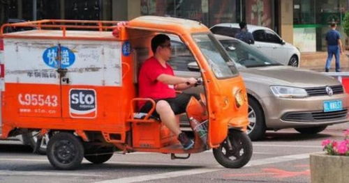 如何在猪场开展多元化副业增收？