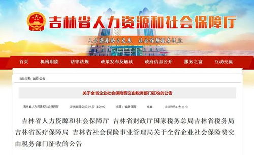 兼职员工如何依法进行税务申报？