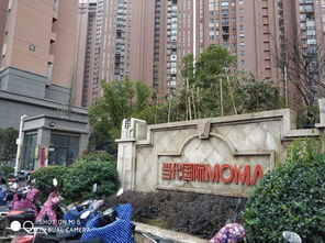 在合肥小区内开设超市，盈利前景如何？