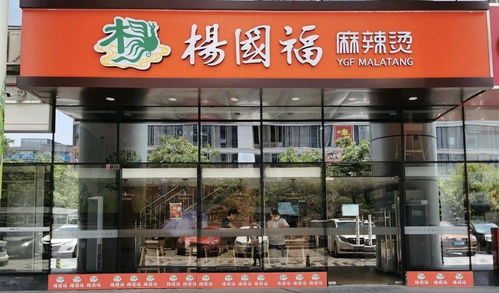 选择杨国福加盟，真的能实现盈利吗？