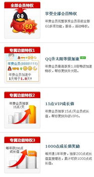 刷QQ超级年费会员需要多少钱？