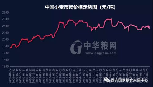 储粮真的能赚钱吗？揭开粮食储备背后的经济效益之谜