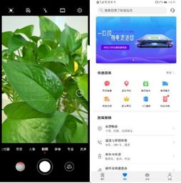 QQ通话中能否兼顾刷抖音？如何实现两不误设置攻略