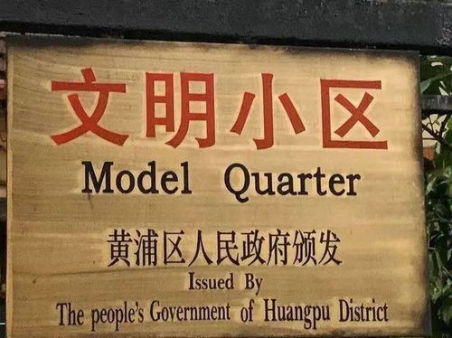 QQ添加后能否重现往日动态？探索旧时光的机会来了！