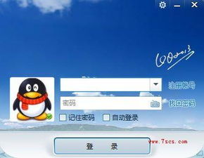 推荐哪个QQ刷评论网站最靠谱？
