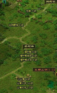 QQ华夏刷怪等级怎么选最赚经验？各等级最佳刷怪地点推荐