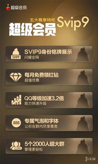 哪里可以找到能刷超级会员的QQ号？求分享神秘QQ号码！