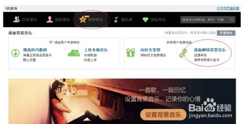 低价刷QQ空间机型与网络，哪家性价比最高？豪礼等你拿！