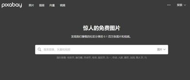 在线刷QQ赞，网页版能否助你辉煌？