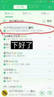如何高效利用QQ音乐付费包，提升听歌体验？