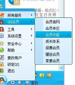 如何操作能刷新点亮QQ会员的标志？