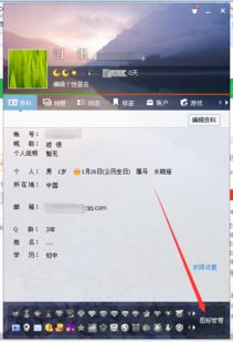 哪里可以刷QQ情侣钻？探索QQ情侣刷黄钻的神秘网址！