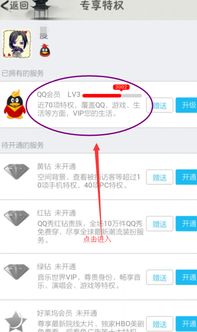 如何取消绑定手机并停止刷的QQ会员手机付费？