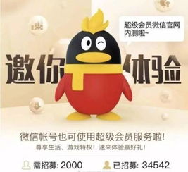 哪里能找到手机QQ超级会员刷取器？操作便捷的会员获取秘籍