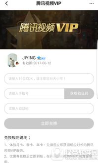 如何轻松解锁QQ会员福利，观看会员视频有妙招？