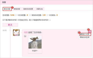 电脑版QQ刷访客软件真的能看到访客记录吗？