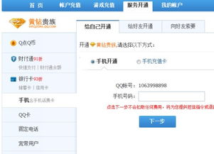 如何用移动卡刷QQ永久VIP会员？