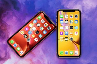 为什么iPhone XR频繁卡在QQ刷脸界面？苹果手机一直卡顿怎么办？