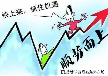 外行人眼中真的遍地是金？为何总觉事事皆盈利？