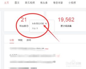 优酷粉丝多有用吗？如何成为优酷粉丝排行榜上的Up主并有效增粉？