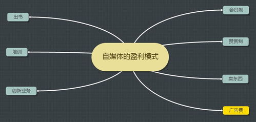 刘恺自媒体盈利模式是怎样的？如何实现持续收益？
