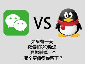 如何轻松为小鸟QQ赢得点赞？刷赞秘籍大公开！