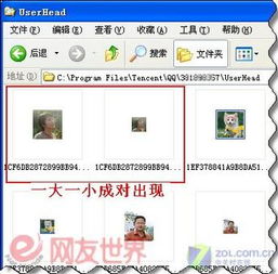 如何轻松获取QQ会员头像框？推荐一款刷QQ会员头像框软件下载！