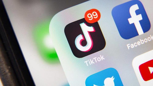 哪些平台提供会员特价购买？TikTok粉丝增购去哪儿找？