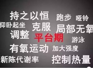 在家如何实现减肥与赚钱双赢？你试过这种方法吗？