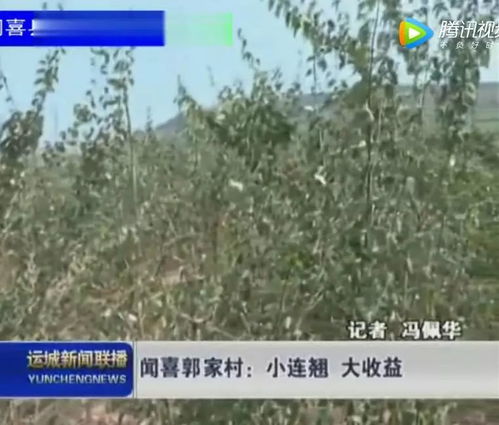 如何在龙村通过拍摄视频实现盈利？