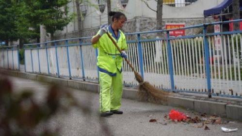 环卫工人在QQ群交流清理绿化带杂草经验吗？