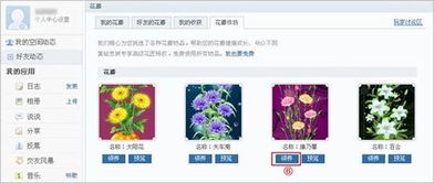 哪些网站能刷QQ空间鲜花？靠谱的刷花平台大盘点