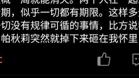如何通过QQ刷在线网站提升活跃度？