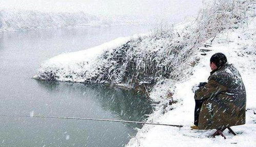 下雪天街头卖鱼，真的能赚钱吗？