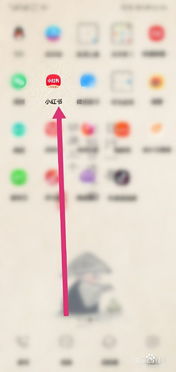 小红书粉丝持续掉粉怎么办？粉丝多有哪些实际用途及赚钱可能？